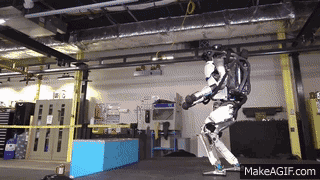 4.gif
